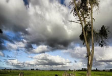 开云体育app-神奇！世界杯劲旅乌拉圭遭加拿大掀翻，努涅斯全场最佳无争议