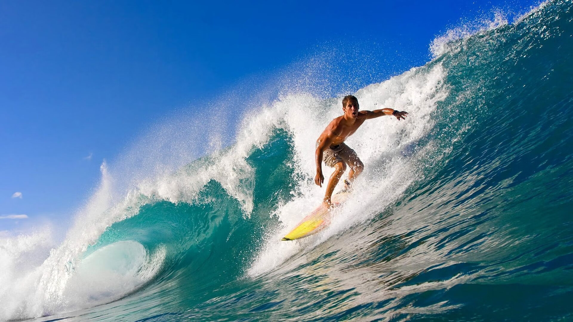 逆转封王!德约科维奇年终总决赛霸气登顶,火热状态宣告巨头时代未落幕